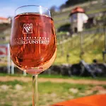 Tatil Evi Heinicke *