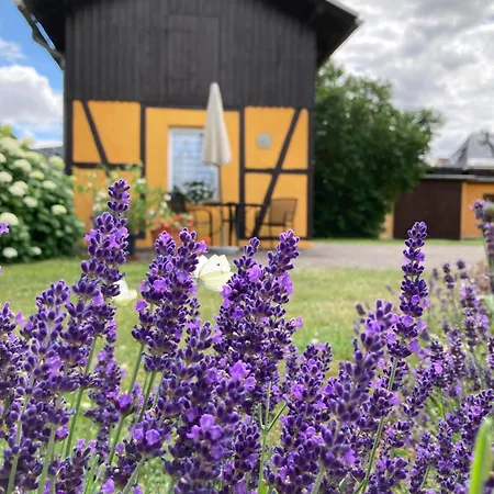 Heinicke Naumburg (Saale)