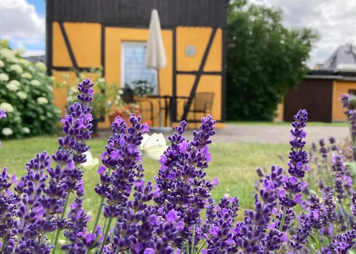 Heinicke Naumburg (Saale)